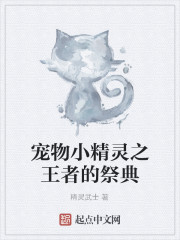 宠物小精灵之王者的祭典