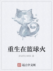 重生在篮球火