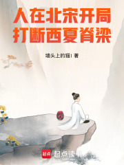 人在北宋，开局打断西夏脊梁！
